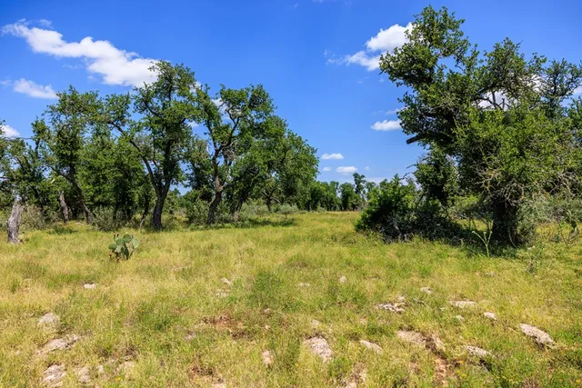 a view of a green field with lots of bushes