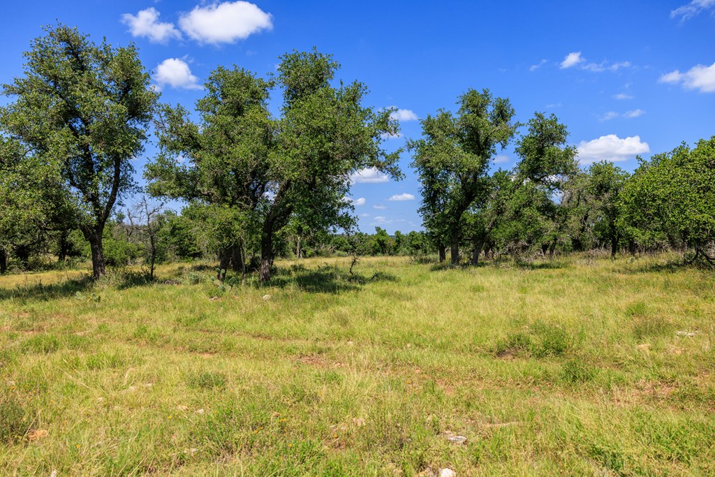 2656 Meier Road Fredericksburg, TX 78624 - Photo 10 of 23