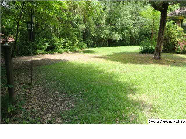 6597 Goodwin Road Pinson, AL 35126 - Photo 3 of 20 Gallery Image 3
