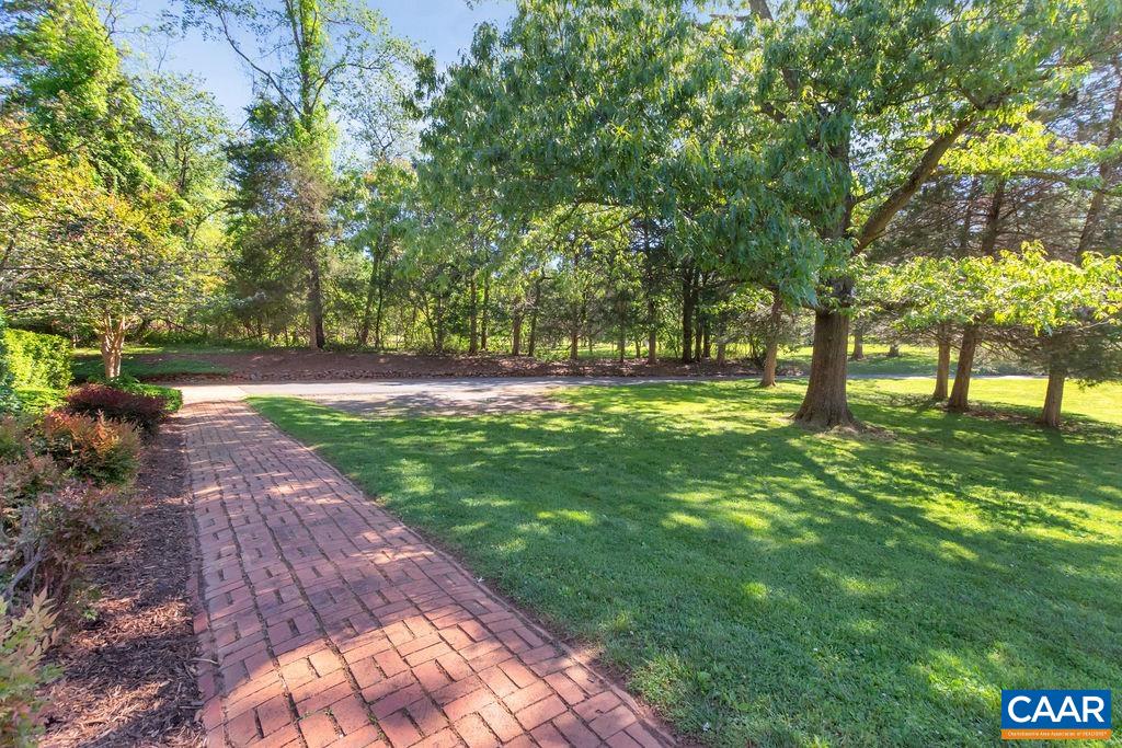 1970 Stillhouse Road Charlottesville, VA 22901 - Photo 47 of 51 a view of yard with trees