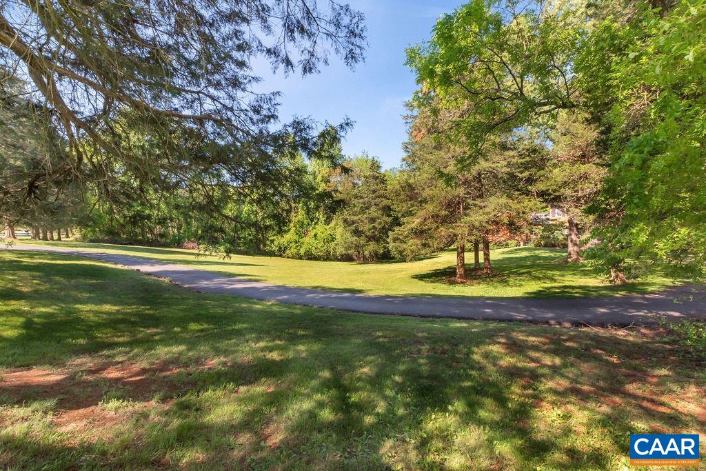 1970 Stillhouse Road Charlottesville, VA 22901 - Photo 49 of 51 a view of yard with large trees