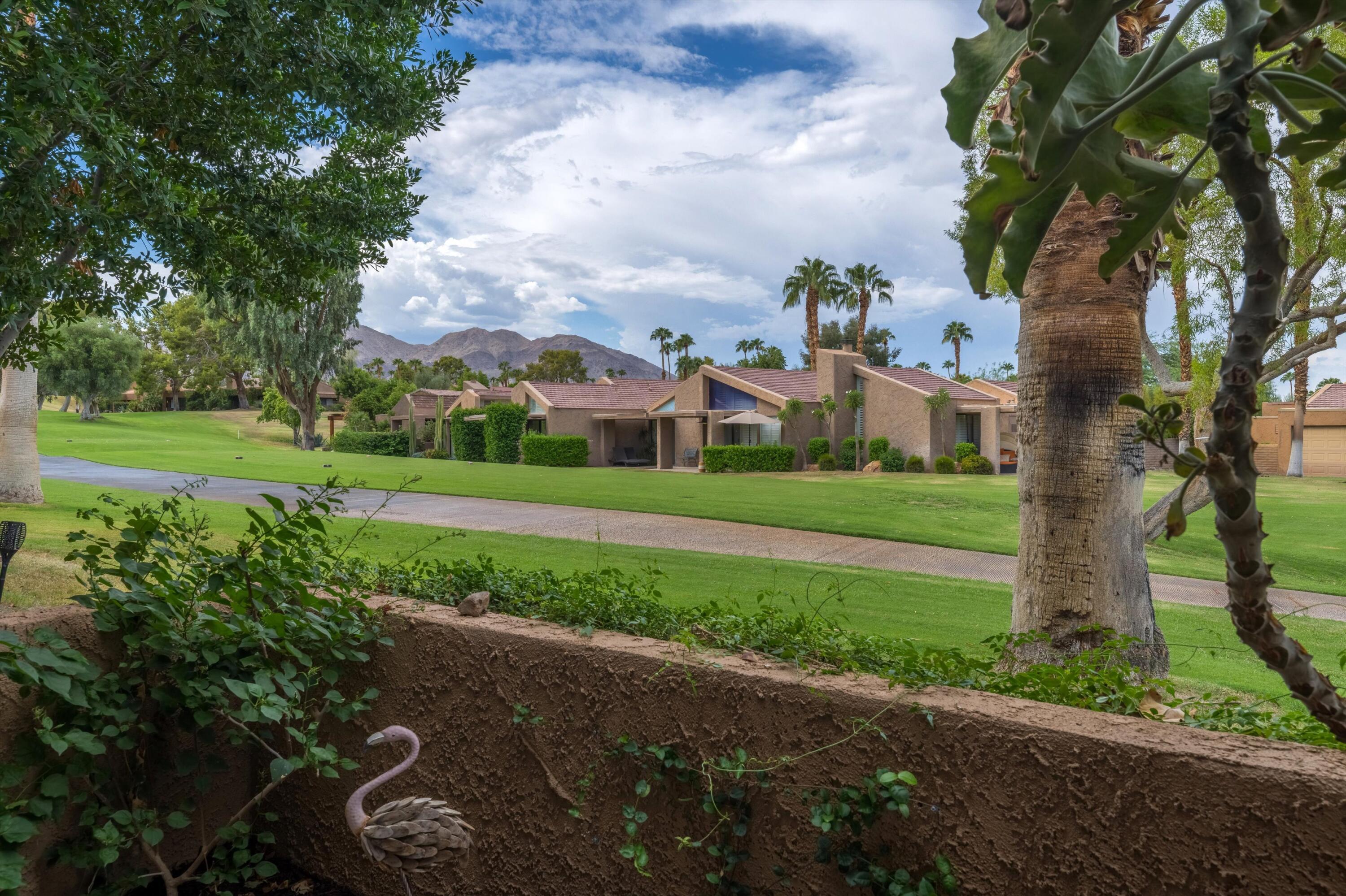 73476 Dalea Lane Palm Desert, CA 92260 - Photo 20 of 37 a view of a big yard with potted plants and large trees