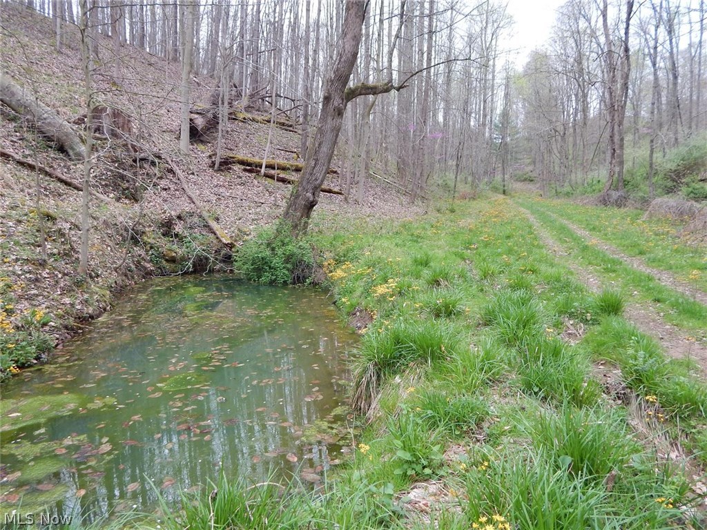 3035 Pullman Road Harrisville, WV 26362 - Photo 27 of 31