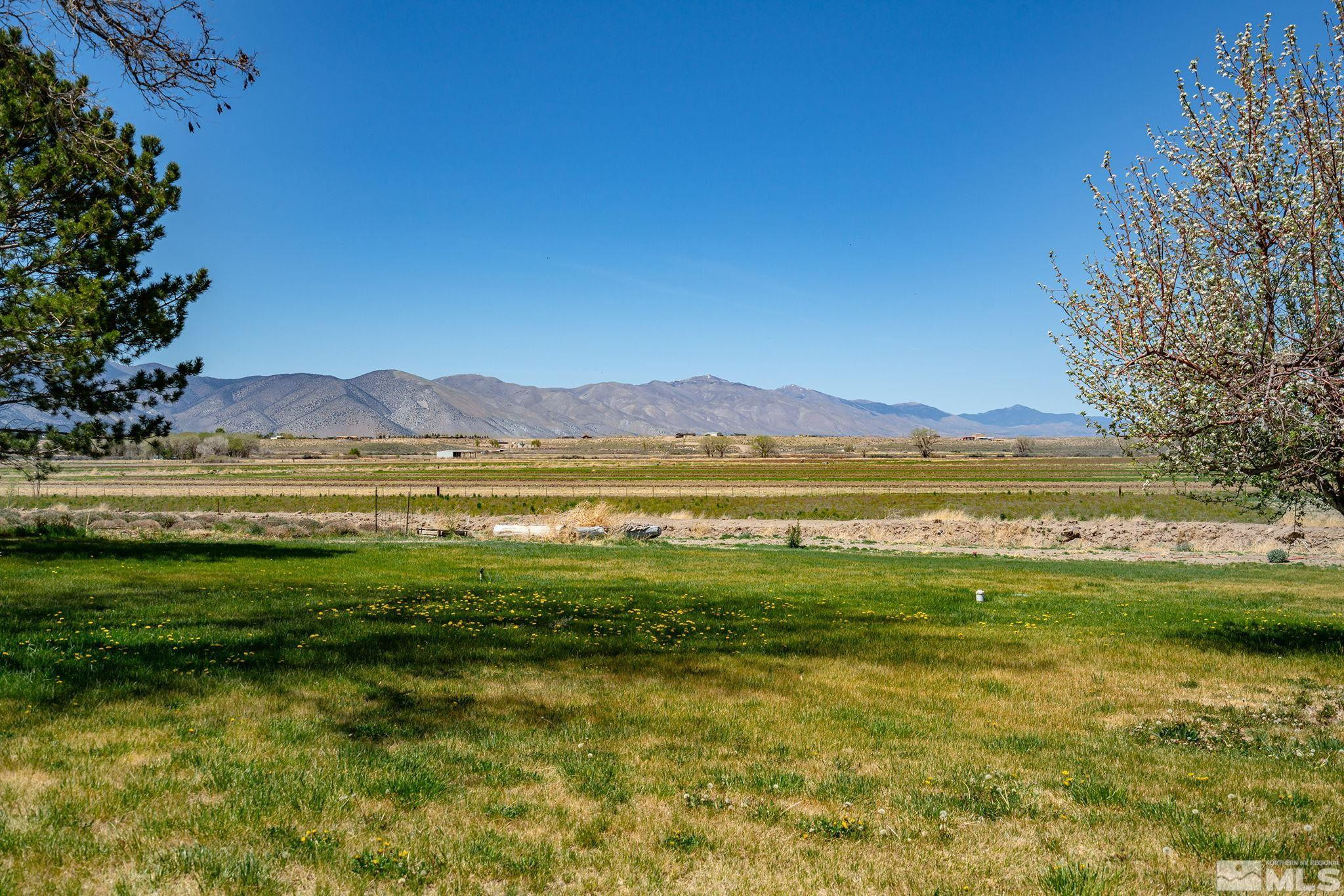 1000 Plymouth Ranch Road Smith, NV 89430 - Photo 36 of 40 Photo 36