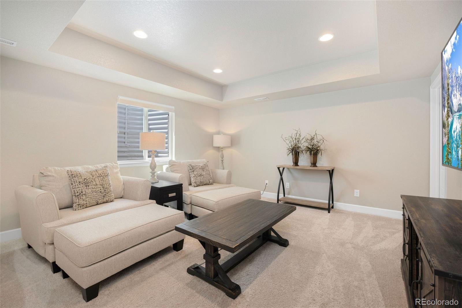 8809 Foxfire Street Firestone, CO 80504 - Photo 25 of 32 a living room with furniture and a potted plant