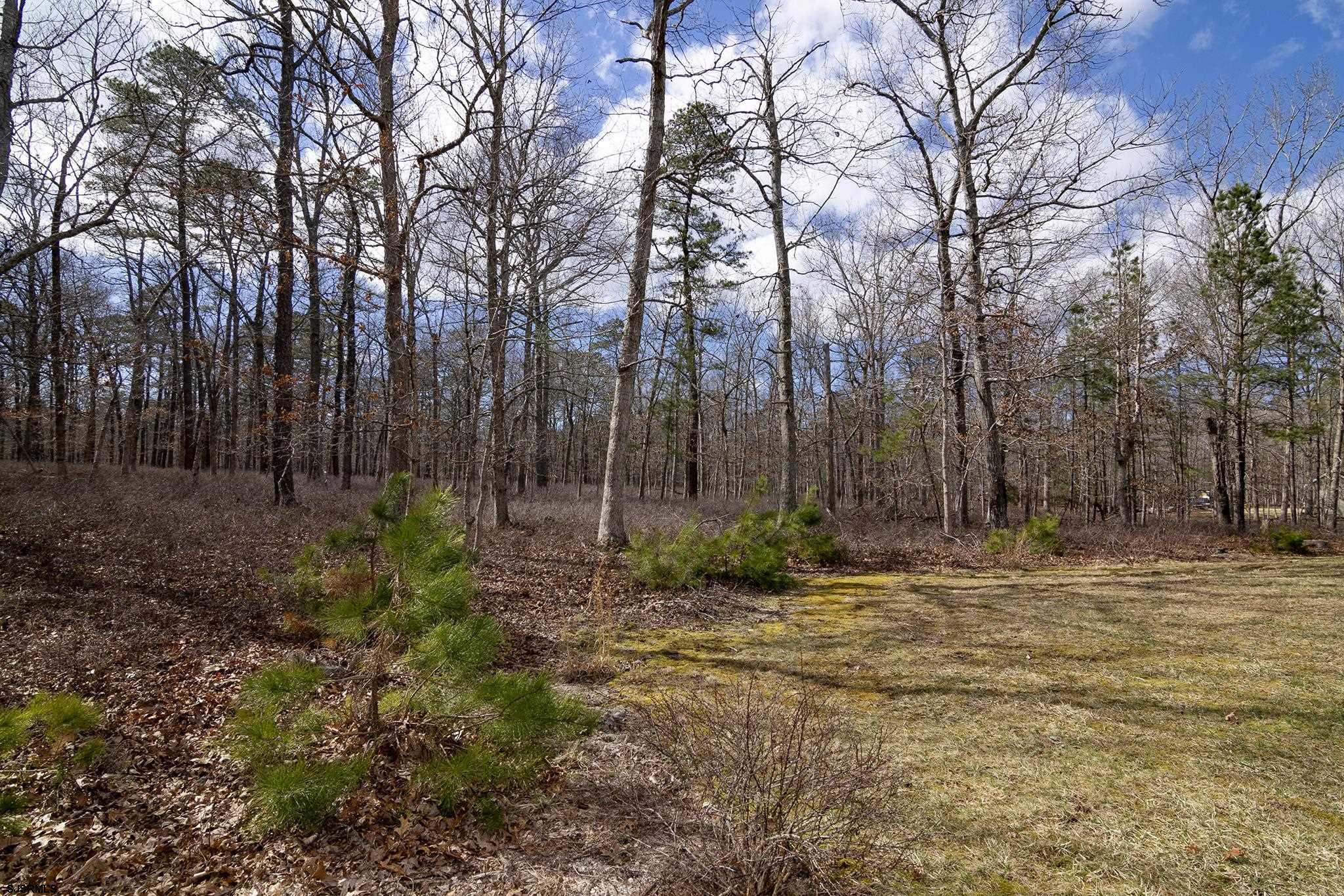 55 Taylor Avenue Milmay, NJ 08340 - Photo 49 of 53 a backyard of a house with lots of green space