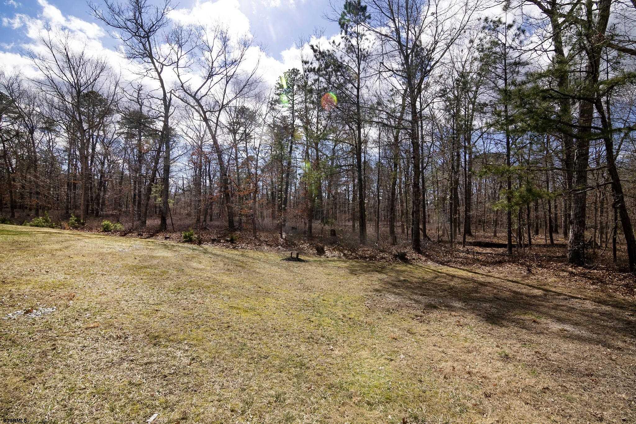 55 Taylor Avenue Milmay, NJ 08340 - Photo 51 of 53 a view of outdoor space with trees