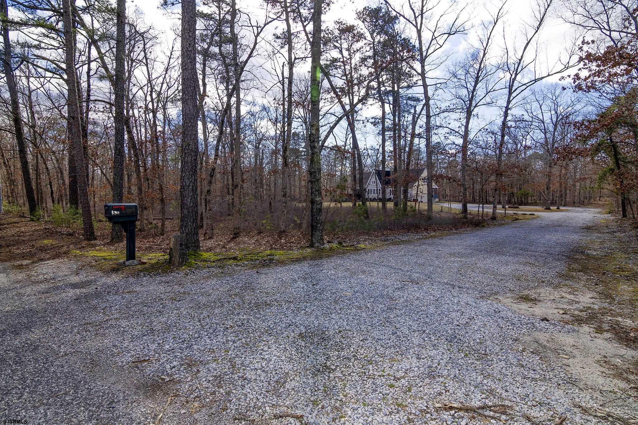 55 Taylor Avenue Milmay, NJ 08340 - Photo 53 of 53 a backyard of a house with lots of green space