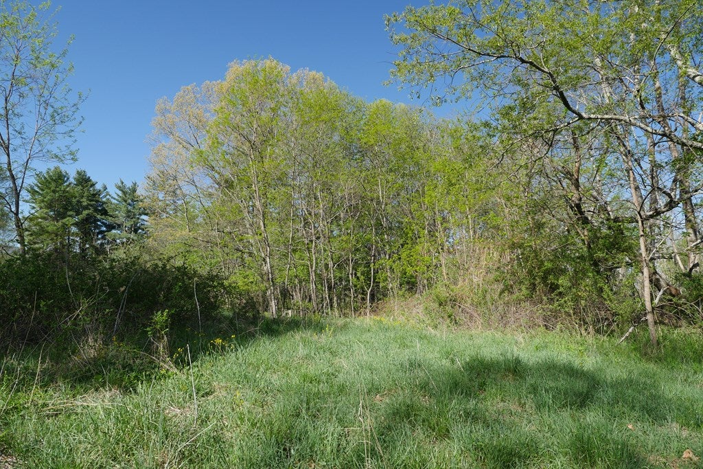 Tbd Camp Road Sugar Grove, VA 24375 - Photo 60 of 67 Gallery Image 60