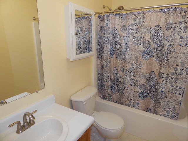 855 Louie Lane Seneca, SC 29678 - Photo 21 of 33 Functional bathroom featuring a vanity with sink, toilet, and shower with curtain.