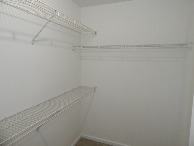 855 Louie Lane Seneca, SC 29678 - Photo 30 of 33 This spacious walk-in closet offers ample storage and organization solutions for any wardrobe.