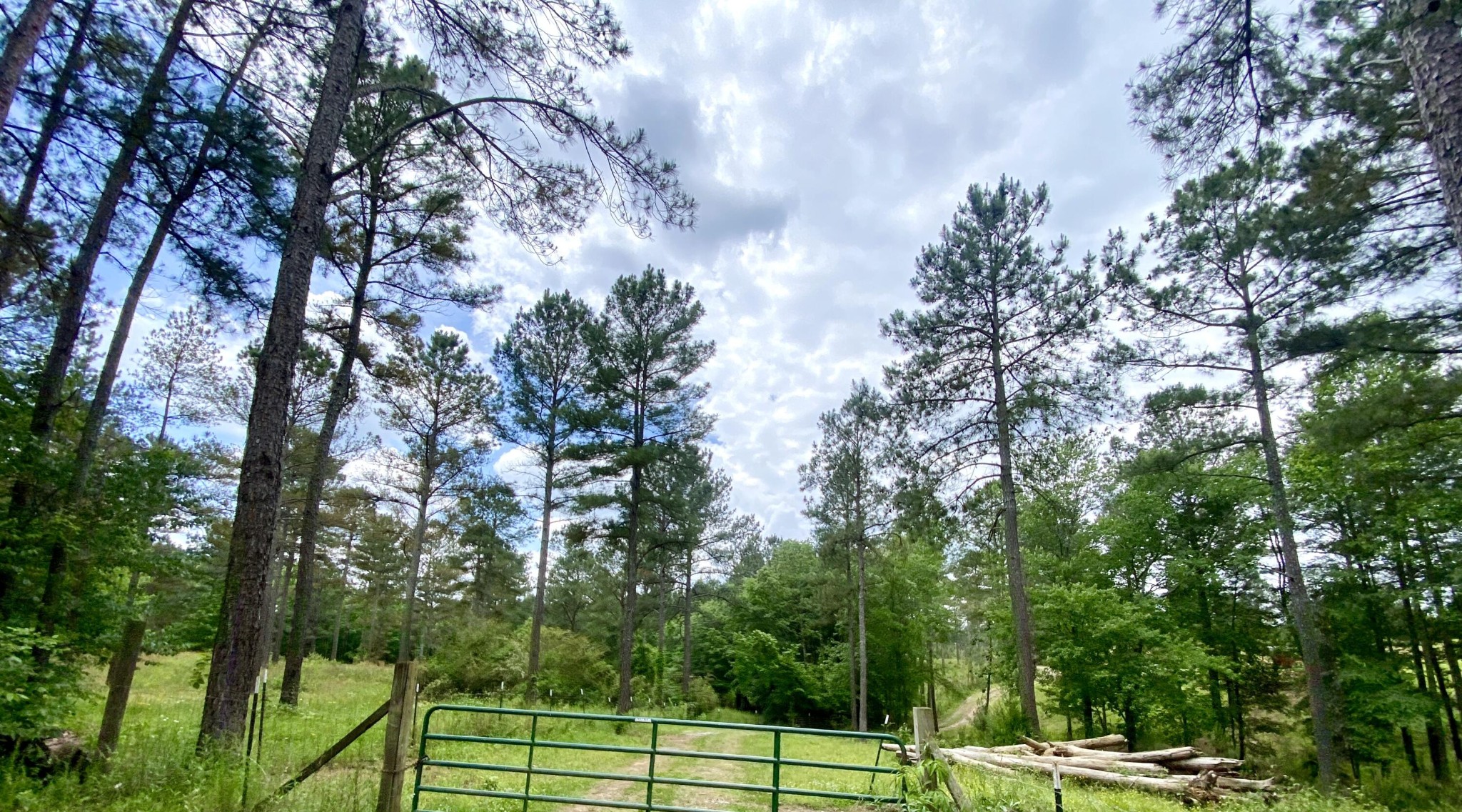 1405 Chestuee Road Northeast Cleveland, TN 37323 - Photo 1 of 11 Gallery Image 1