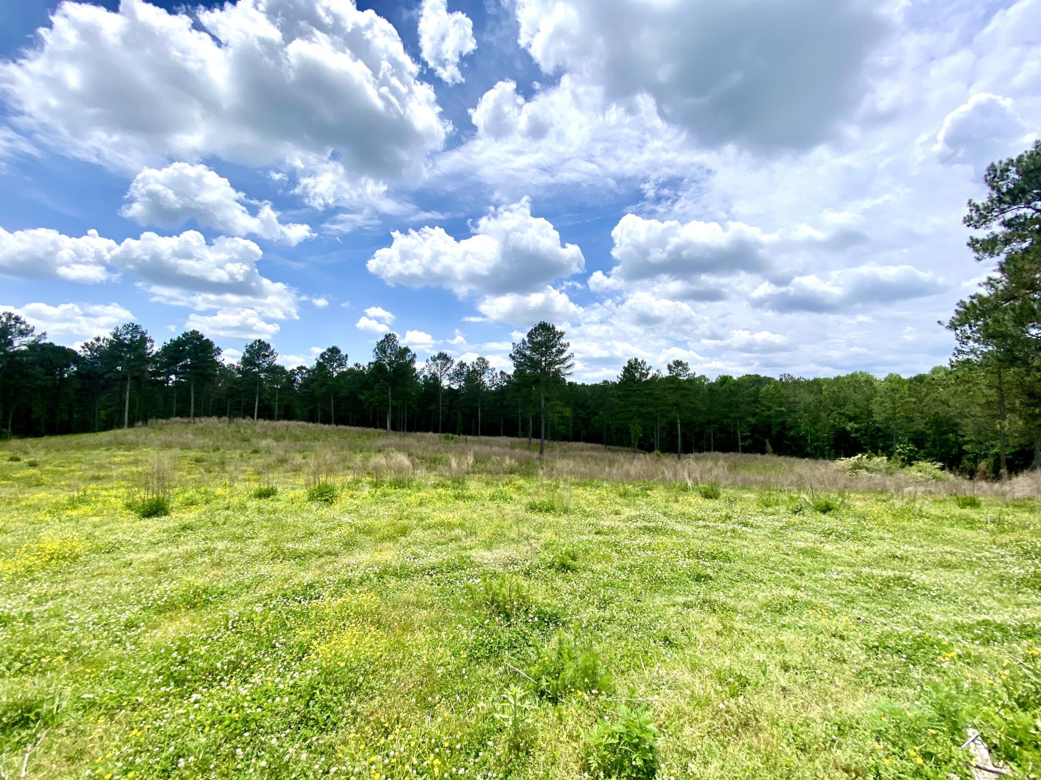 1405 Chestuee Road Northeast Cleveland, TN 37323 - Photo 10 of 11 Gallery Image 10