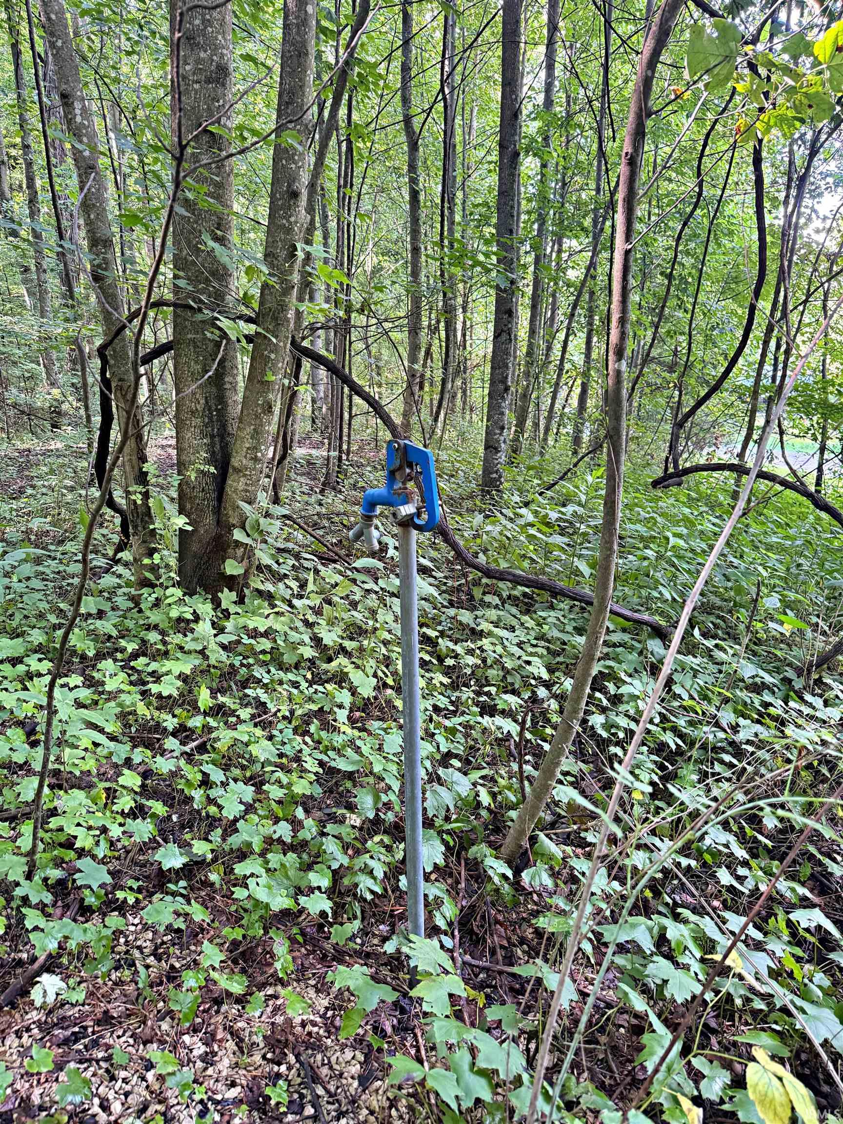 Peggy Hollow Rd Shoals Shoals, IN 47581 - Photo 11 of 16