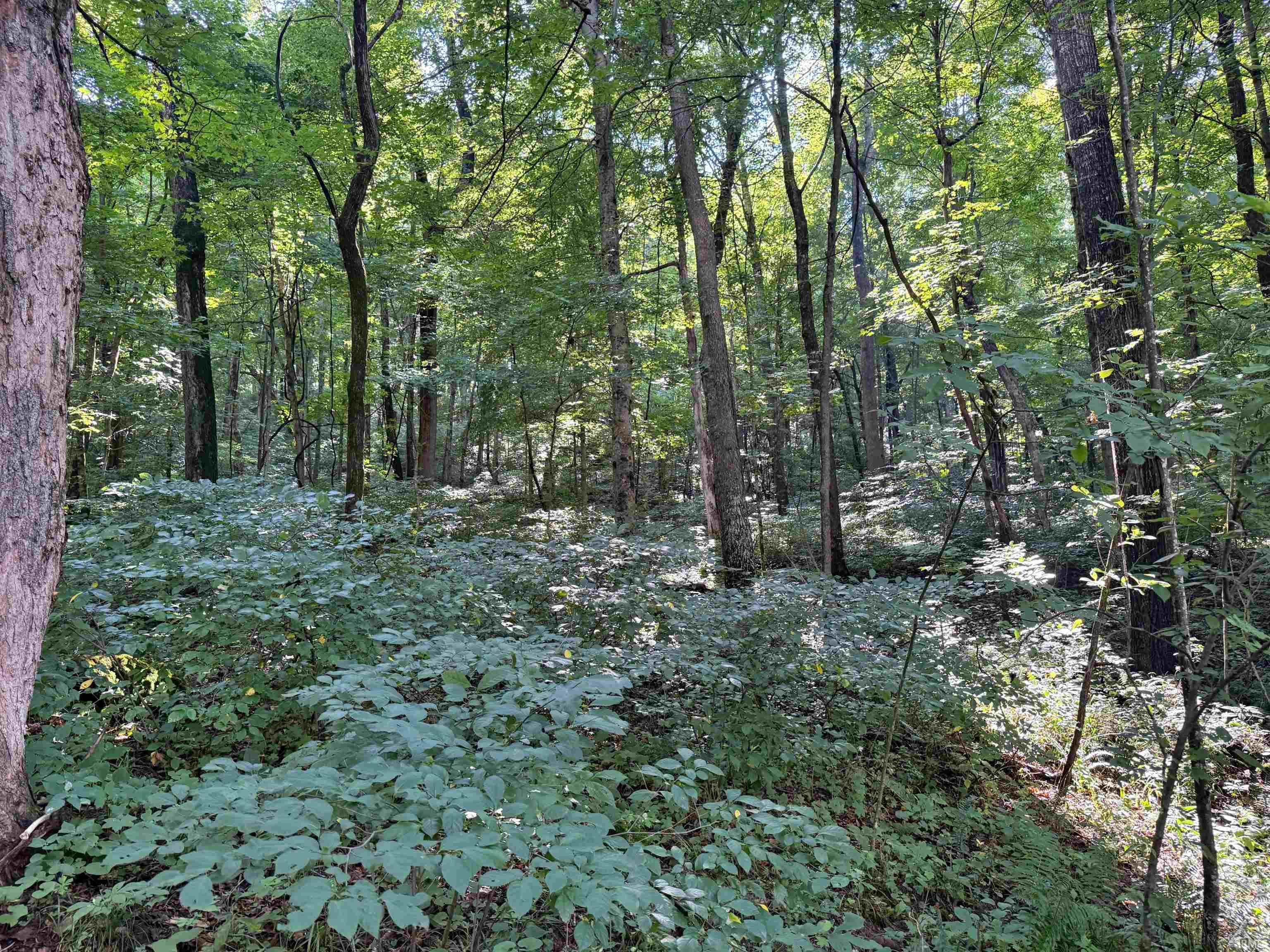 Peggy Hollow Rd Shoals Shoals, IN 47581 - Photo 12 of 16