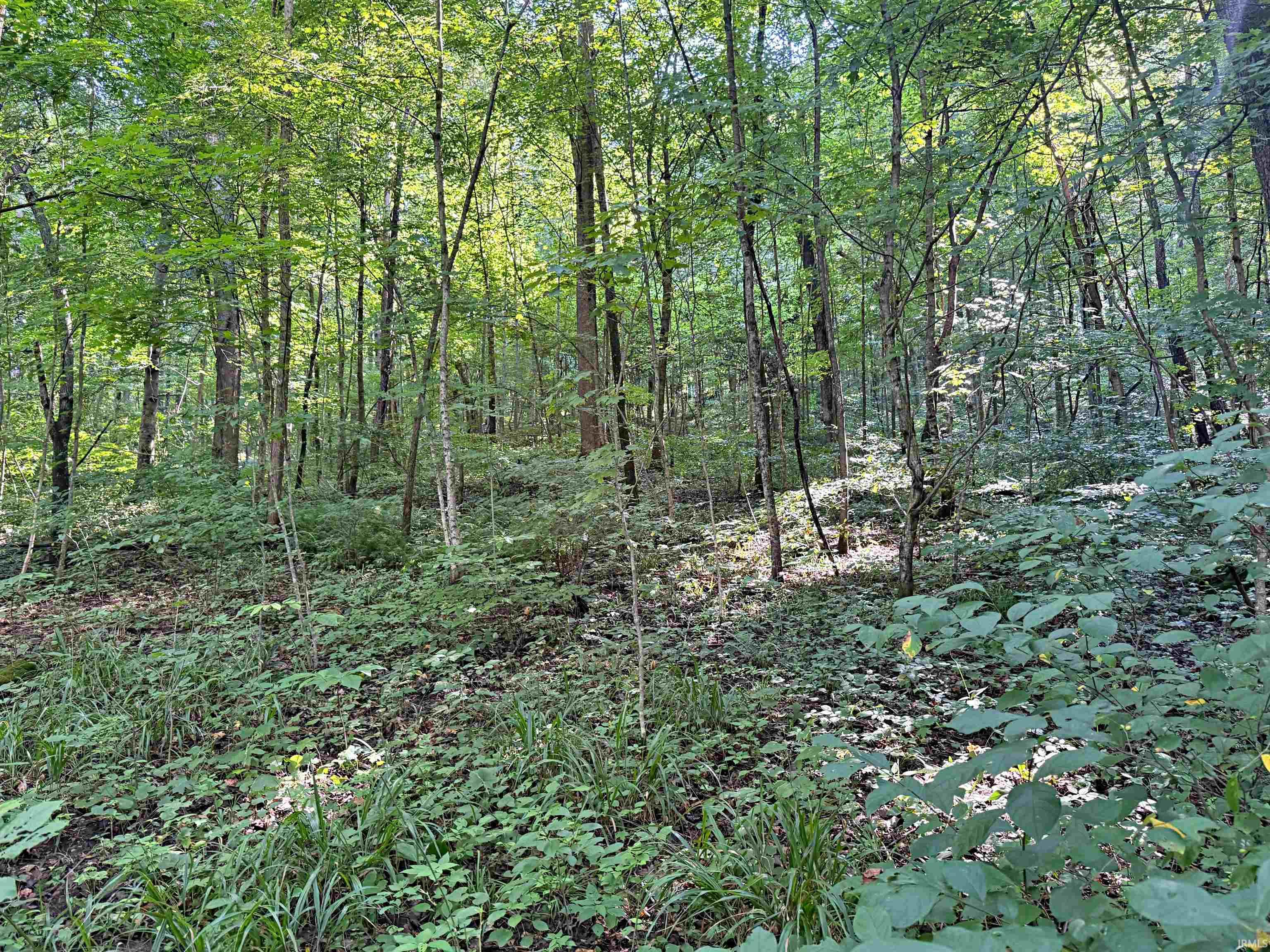 Peggy Hollow Rd Shoals Shoals, IN 47581 - Photo 13 of 16