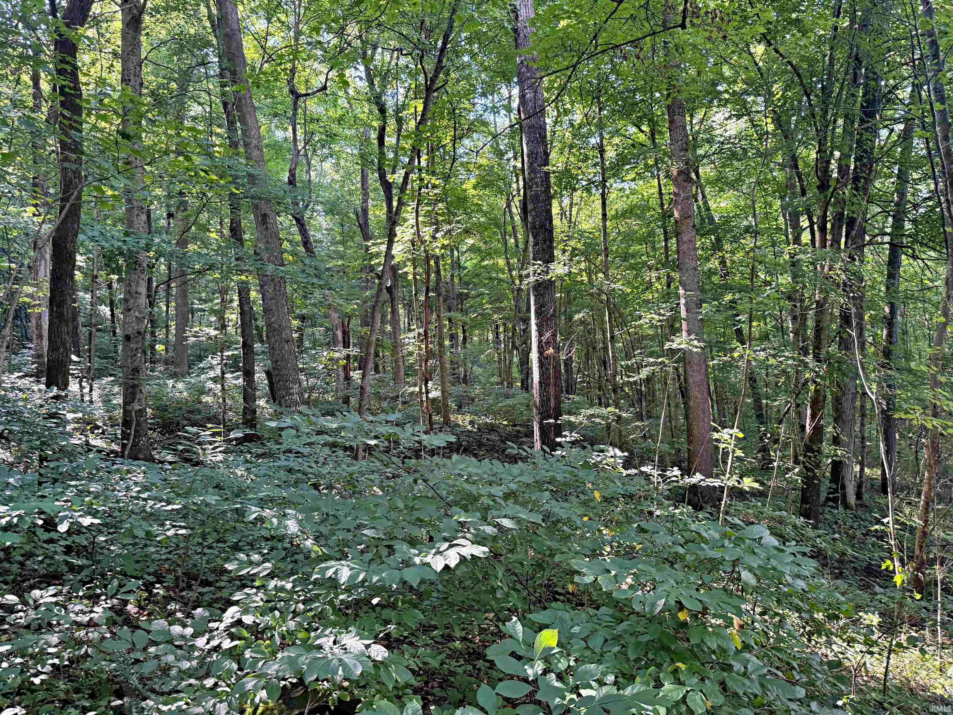 Peggy Hollow Rd Shoals Shoals, IN 47581 - Photo 14 of 16