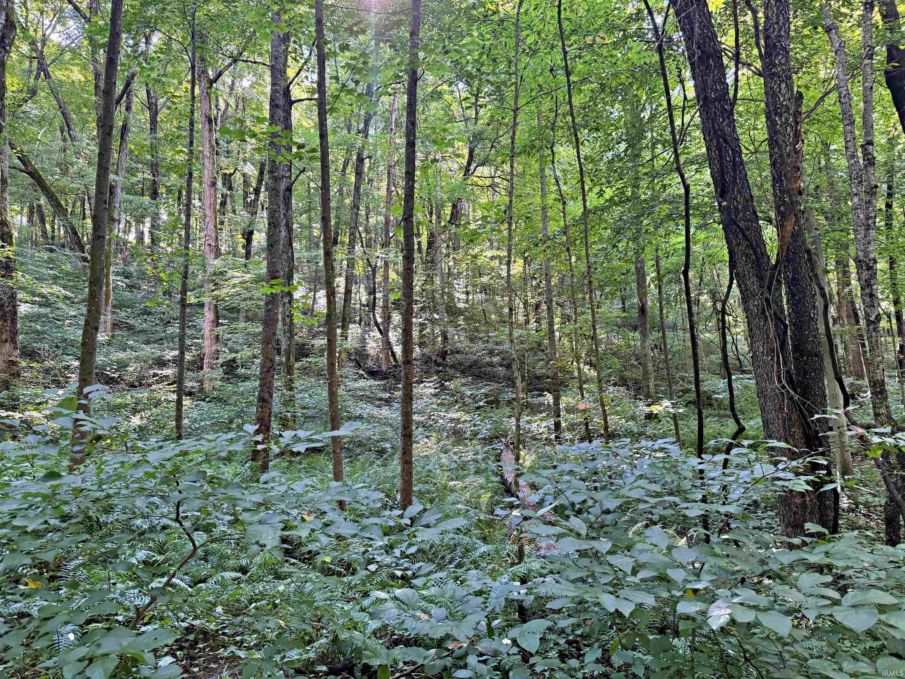 Peggy Hollow Rd Shoals Shoals, IN 47581 - Photo 16 of 16