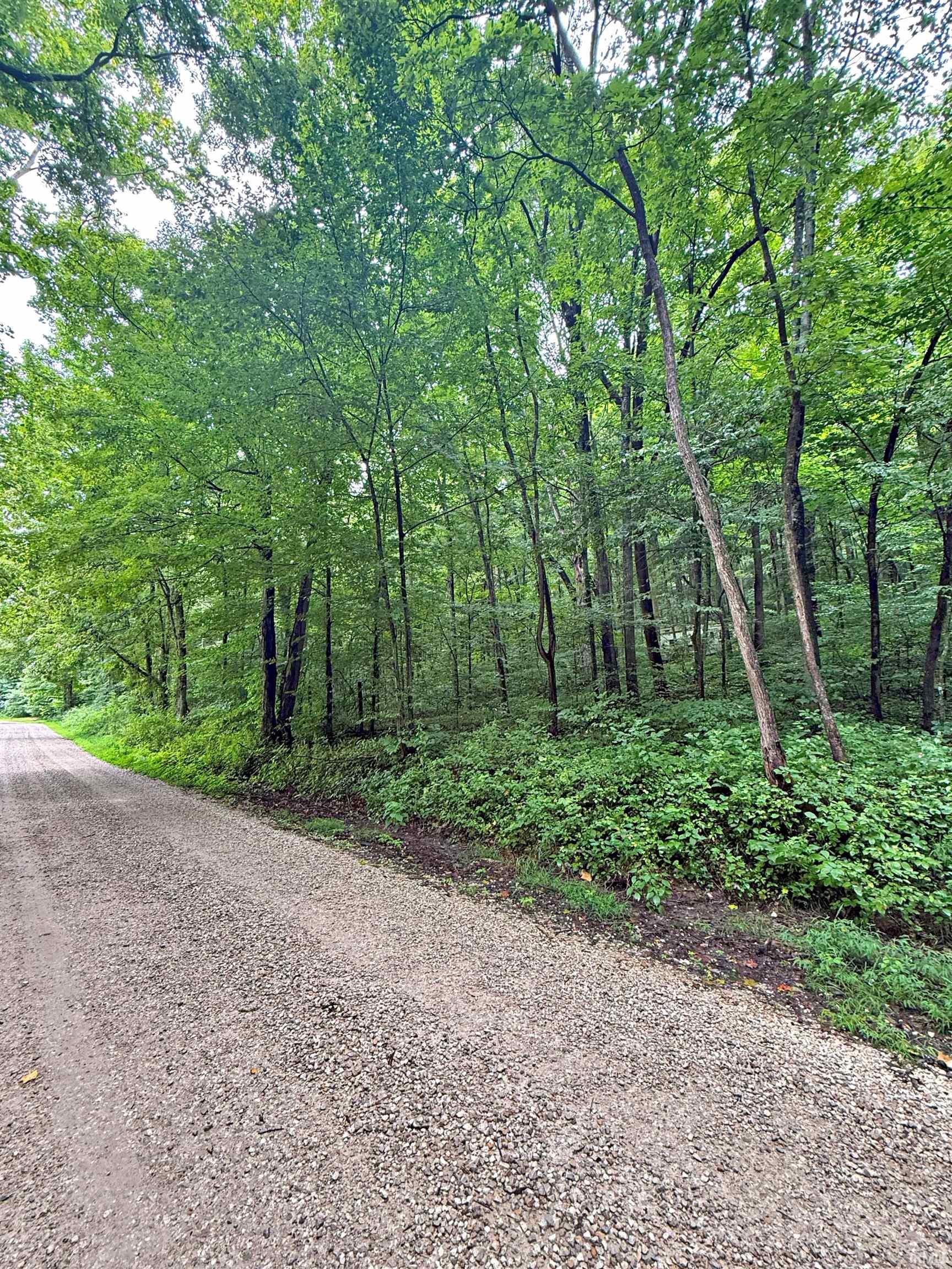 Peggy Hollow Rd Shoals Shoals, IN 47581 - Photo 3 of 16