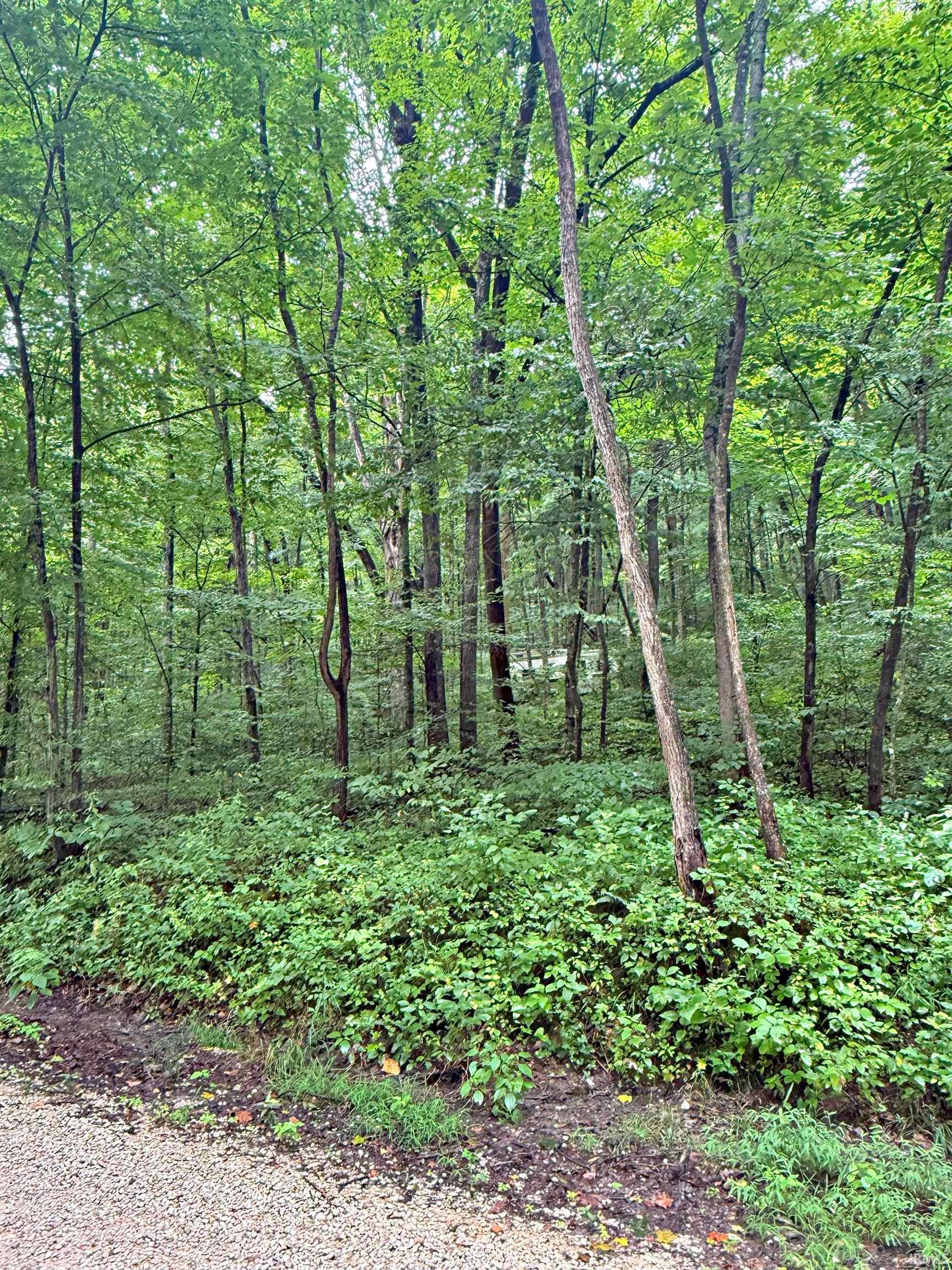 Peggy Hollow Rd Shoals Shoals, IN 47581 - Photo 4 of 16