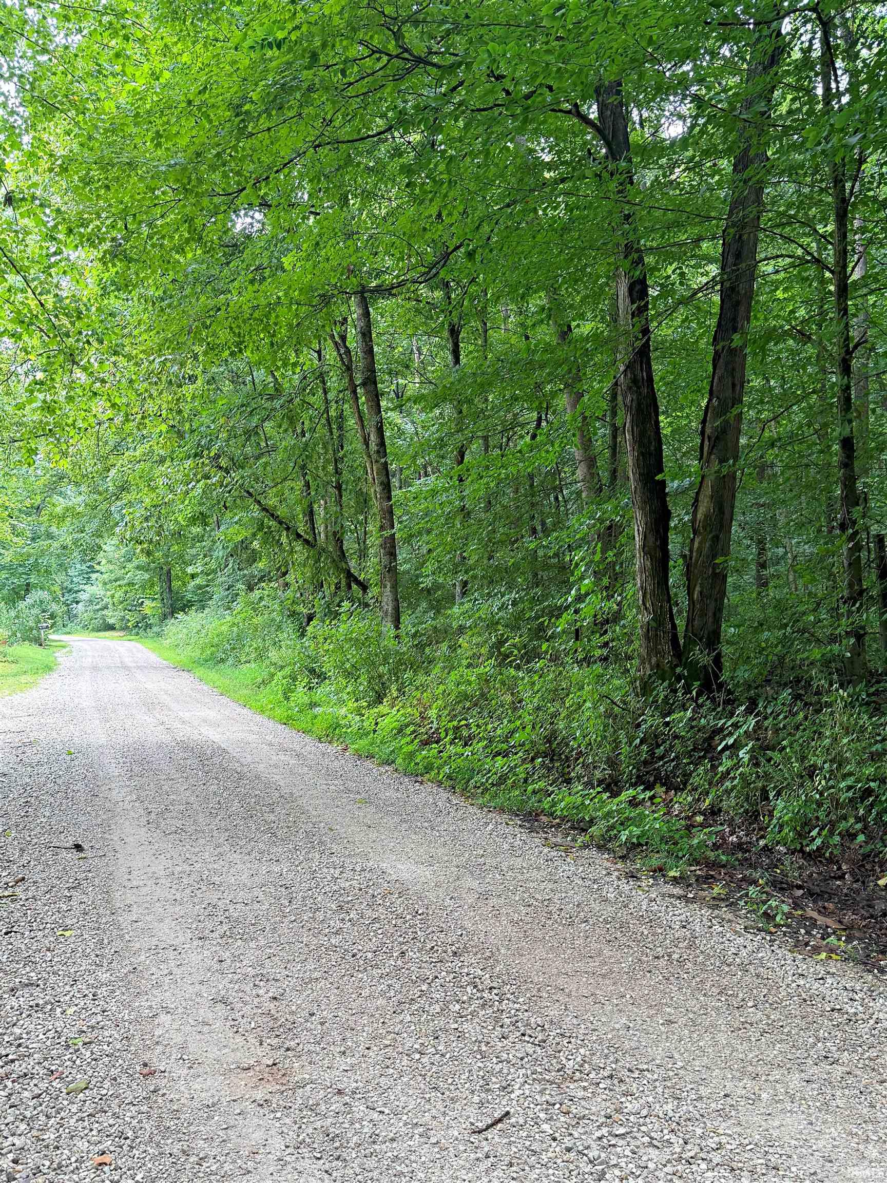Peggy Hollow Rd Shoals Shoals, IN 47581 - Photo 5 of 16