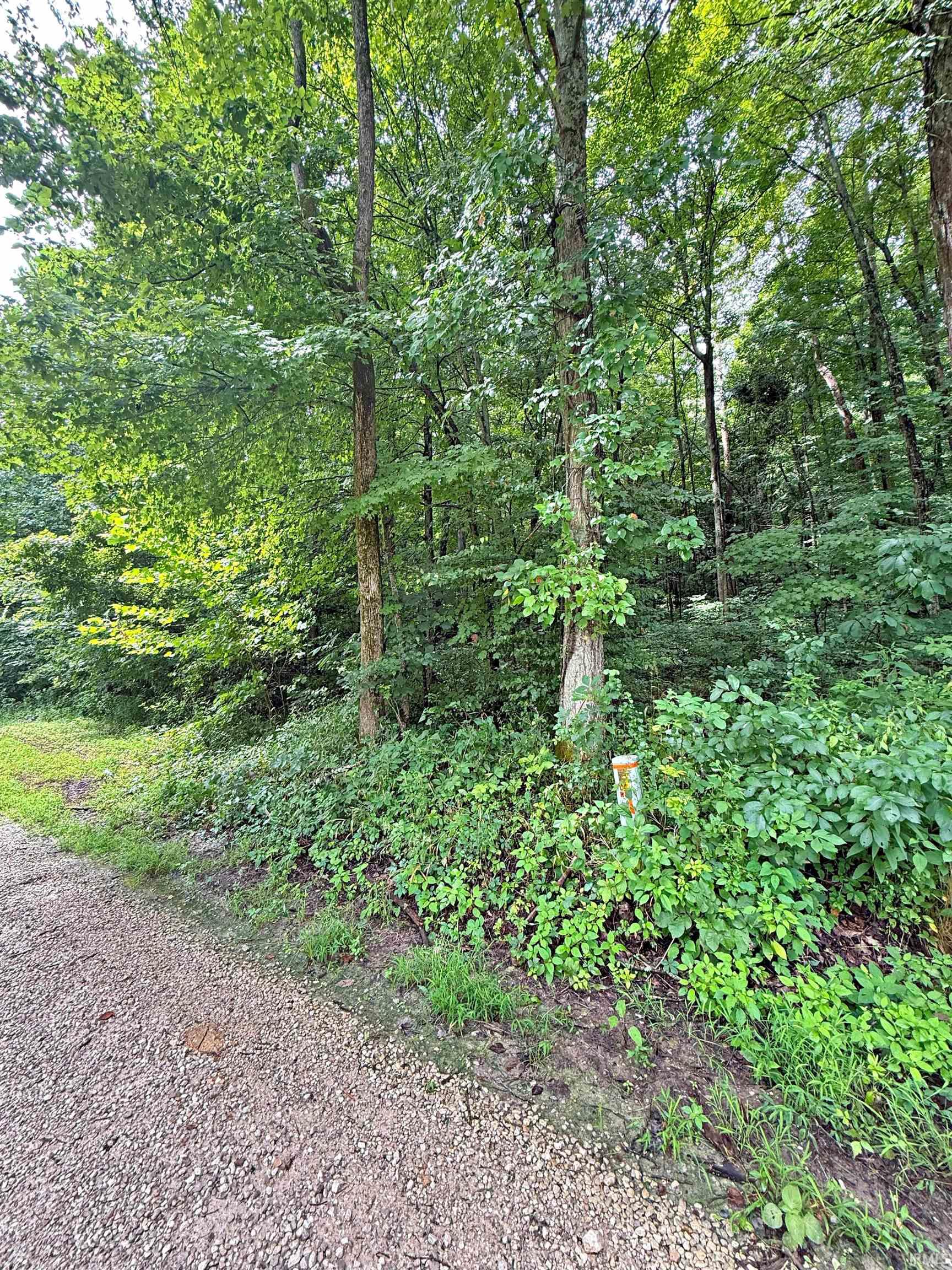 Peggy Hollow Rd Shoals Shoals, IN 47581 - Photo 6 of 16