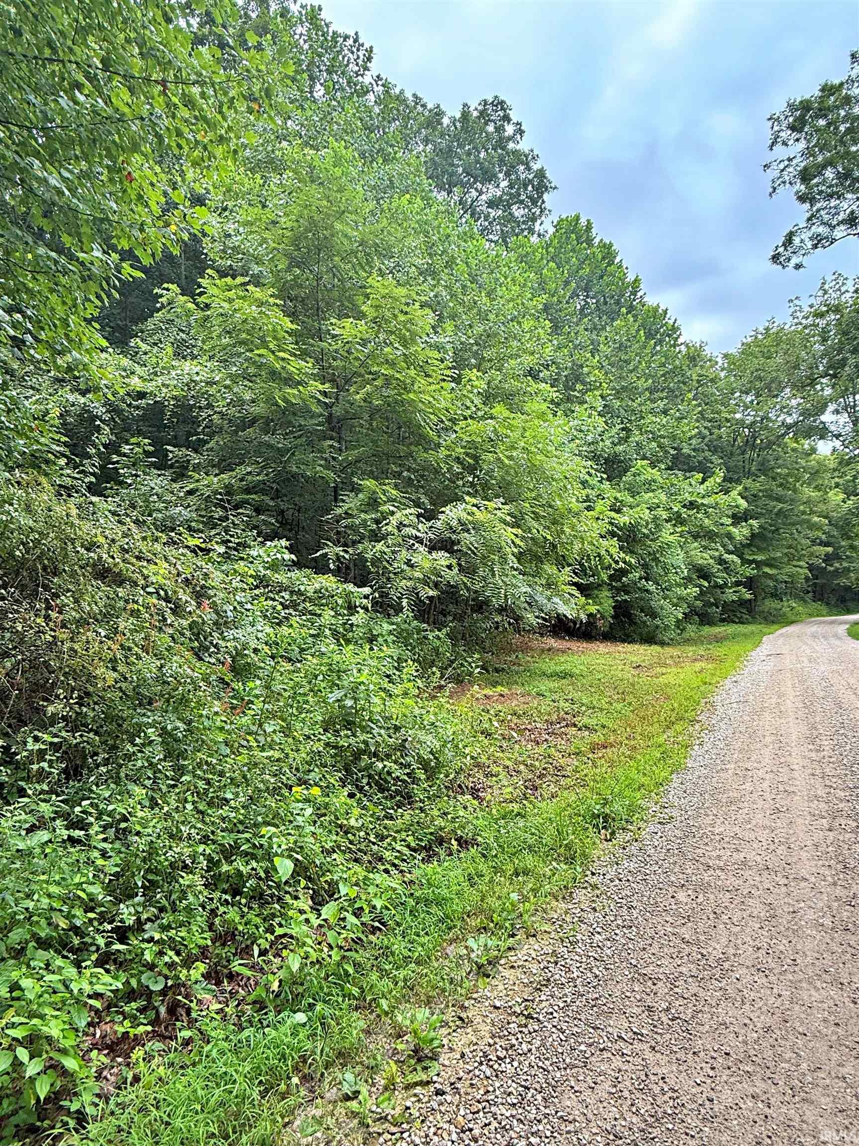 Peggy Hollow Rd Shoals Shoals, IN 47581 - Photo 8 of 16