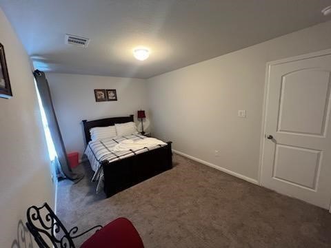 28616 Netawaka Point Blank, TX 77364 - Photo 6 of 9