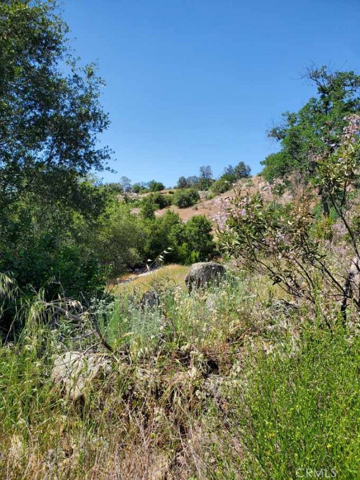 1952 Ranger Circle Drive Coarsegold, CA 93614 - Photo 9 of 17