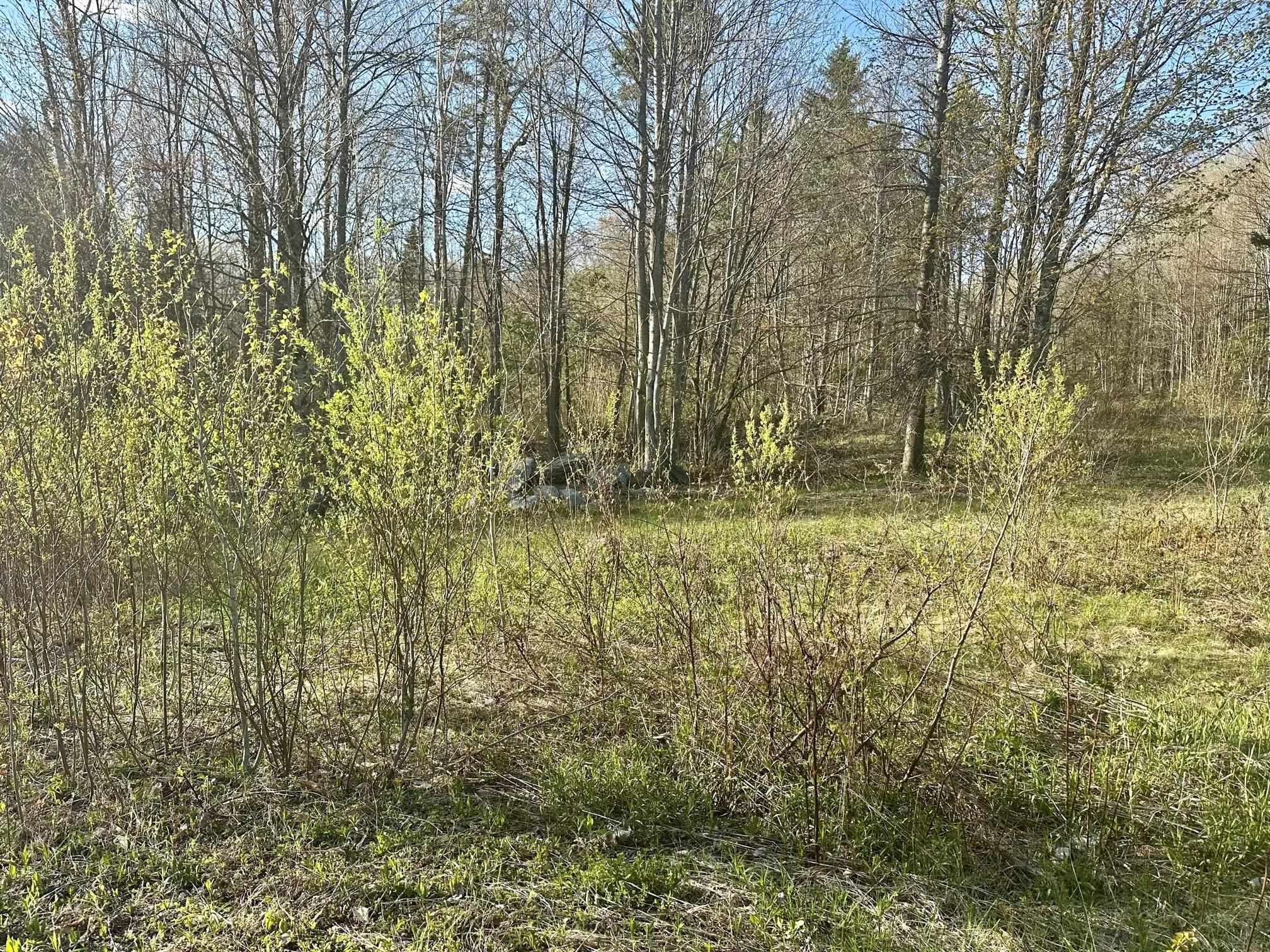 0 Brookview Lane, Unit 4 Wolcott, VT 05680 - Photo 2 of 15