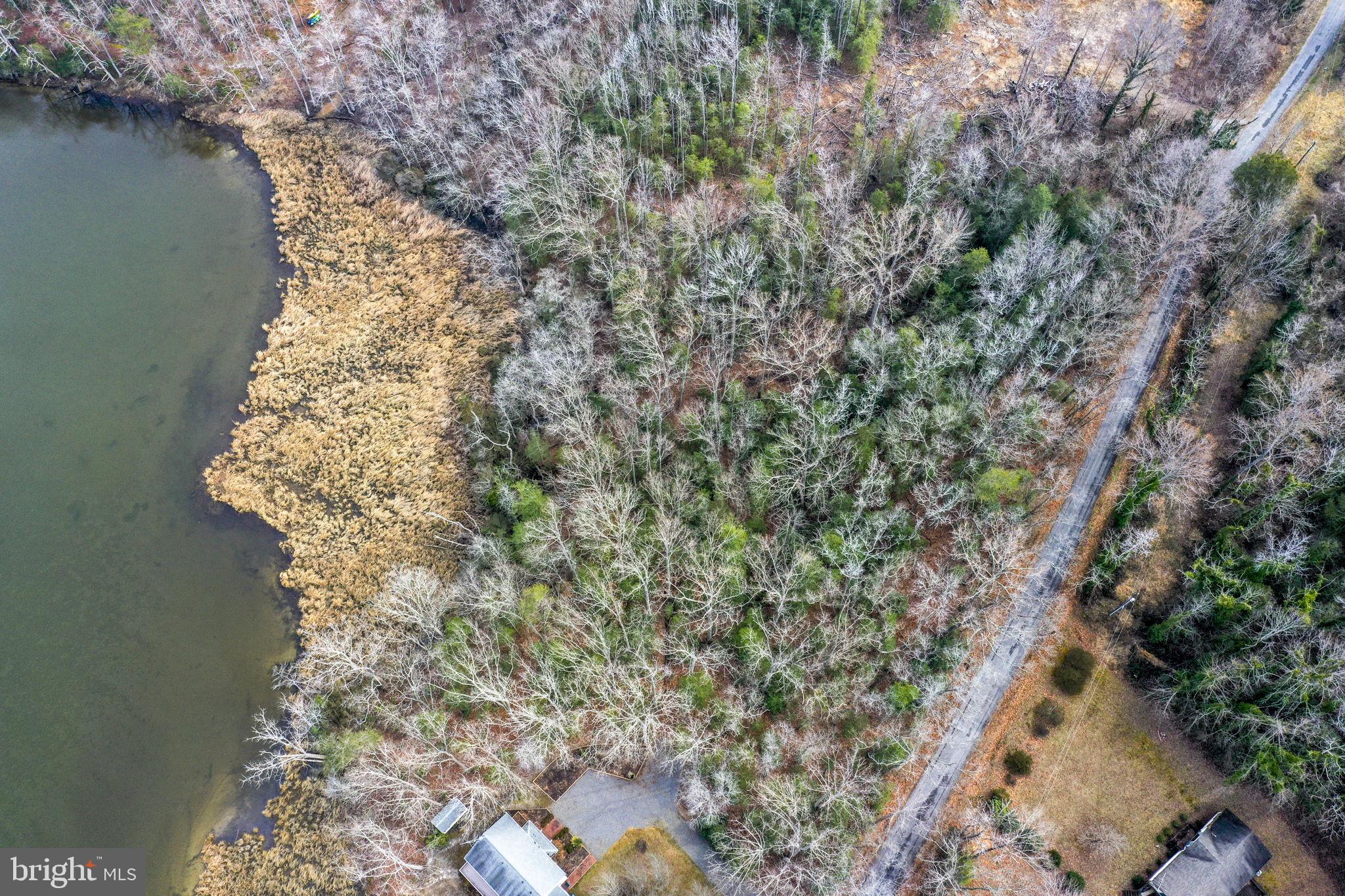 0 Rowes Landing Road Heathsville, VA 22473 - Photo 4 of 7