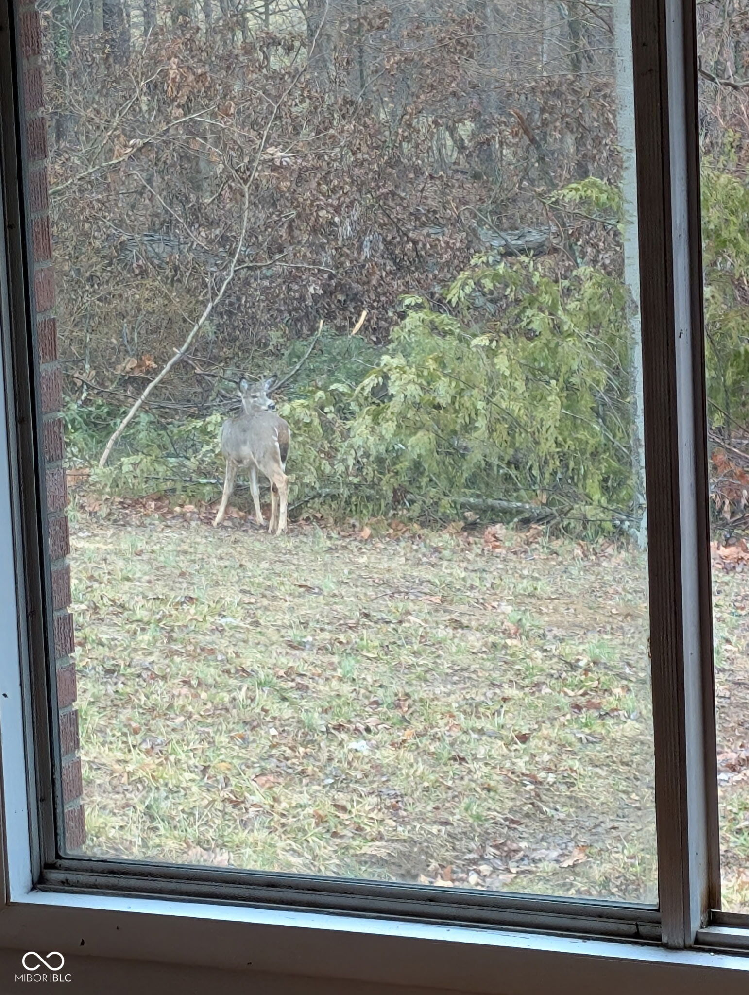 2018 North Sparks Ferry Road Salem, IN 47167 - Photo 18 of 37