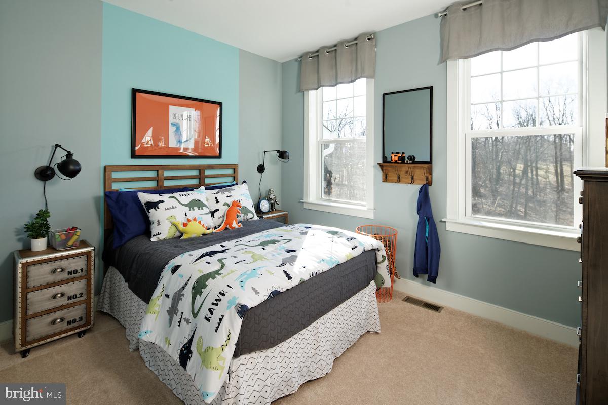 9905 Day Ridge Place Damascus, MD 20872 - Photo 14 of 20 Gallery Image 14