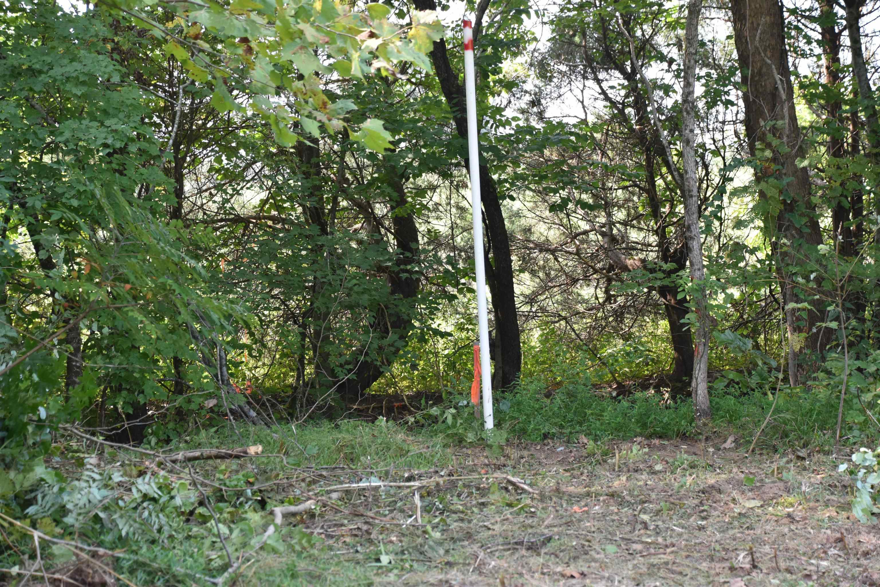 200 Beech Grove Road Huron, TN 38345 - Photo 13 of 19 Photo 13