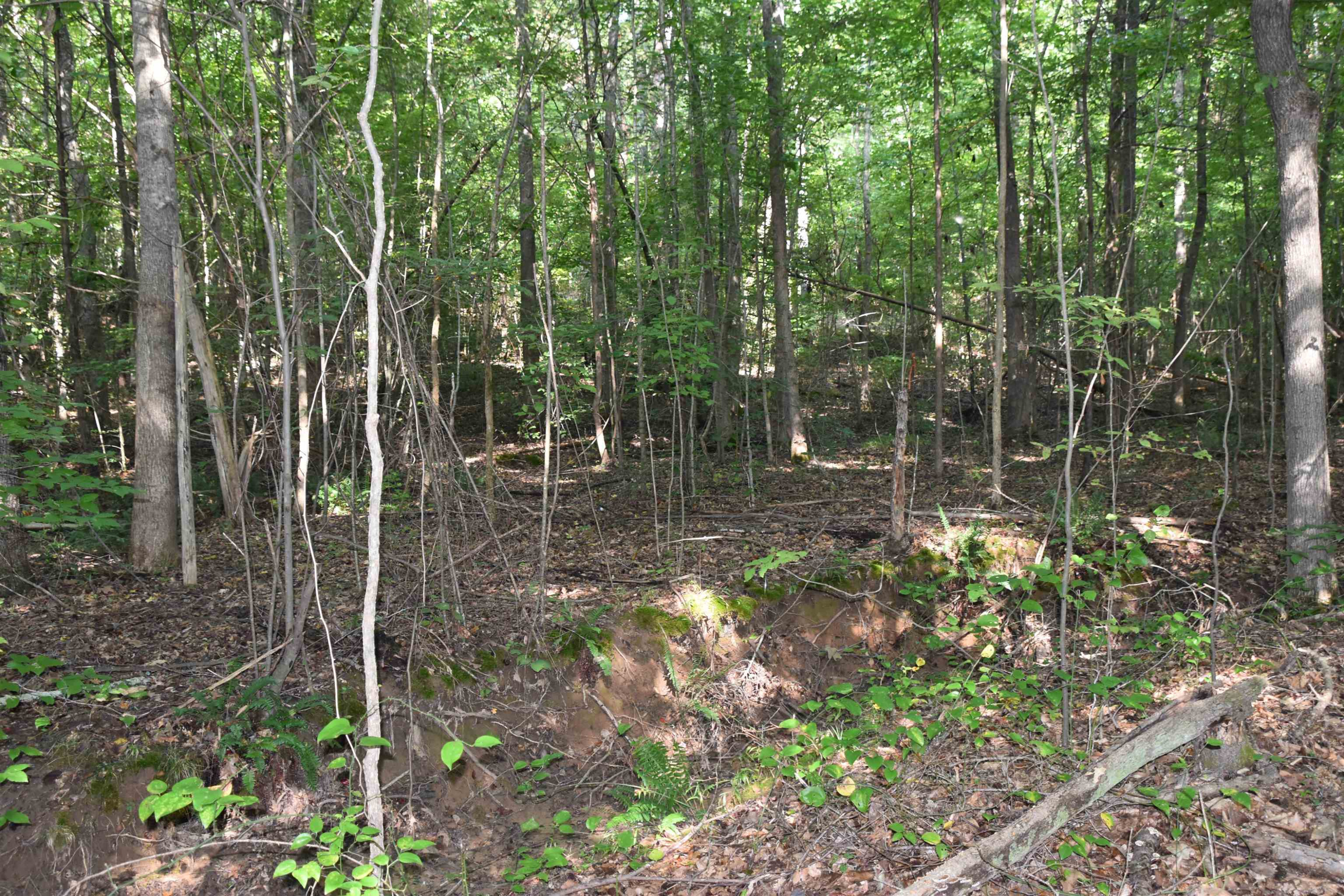 200 Beech Grove Road Huron, TN 38345 - Photo 6 of 19 Photo 6