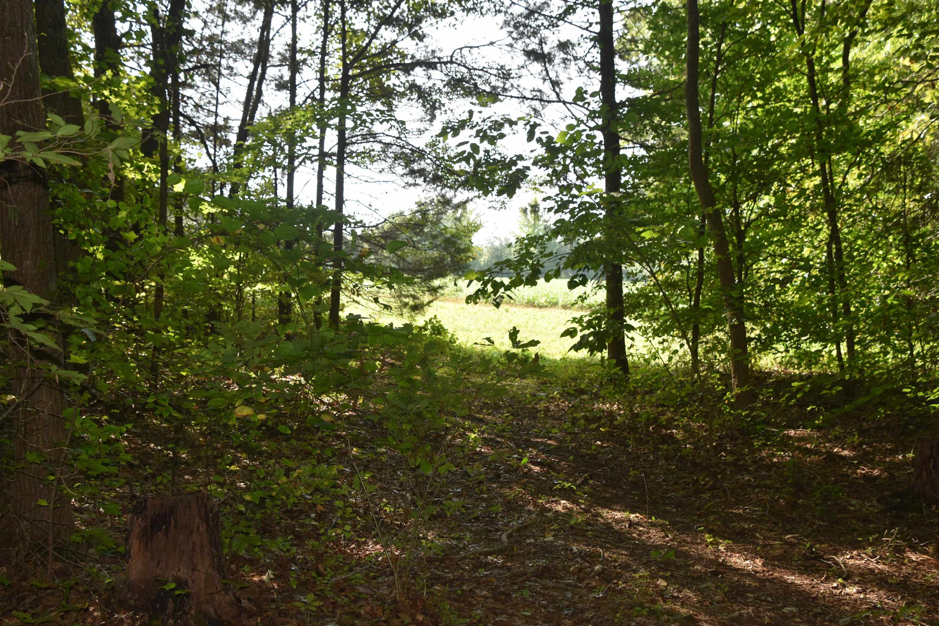 200 Beech Grove Road Huron, TN 38345 - Photo 9 of 19 Photo 9
