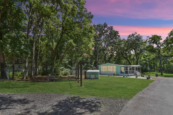 a view of a park with large trees