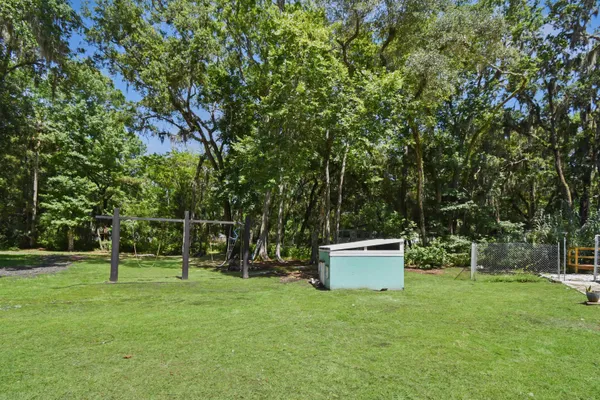 a view of a tree with a park