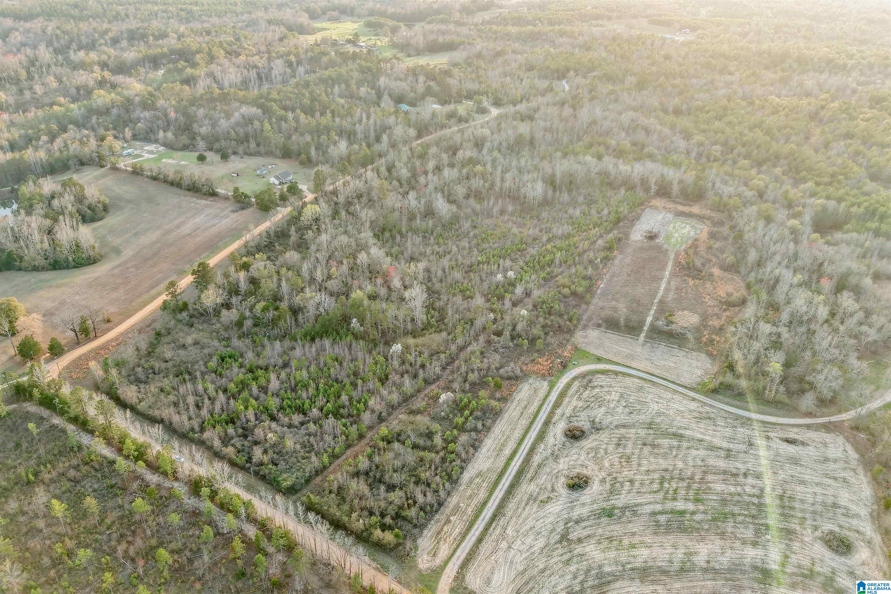 328 County Road, Unit 1 Prattville, AL 36067 - Photo 9 of 14