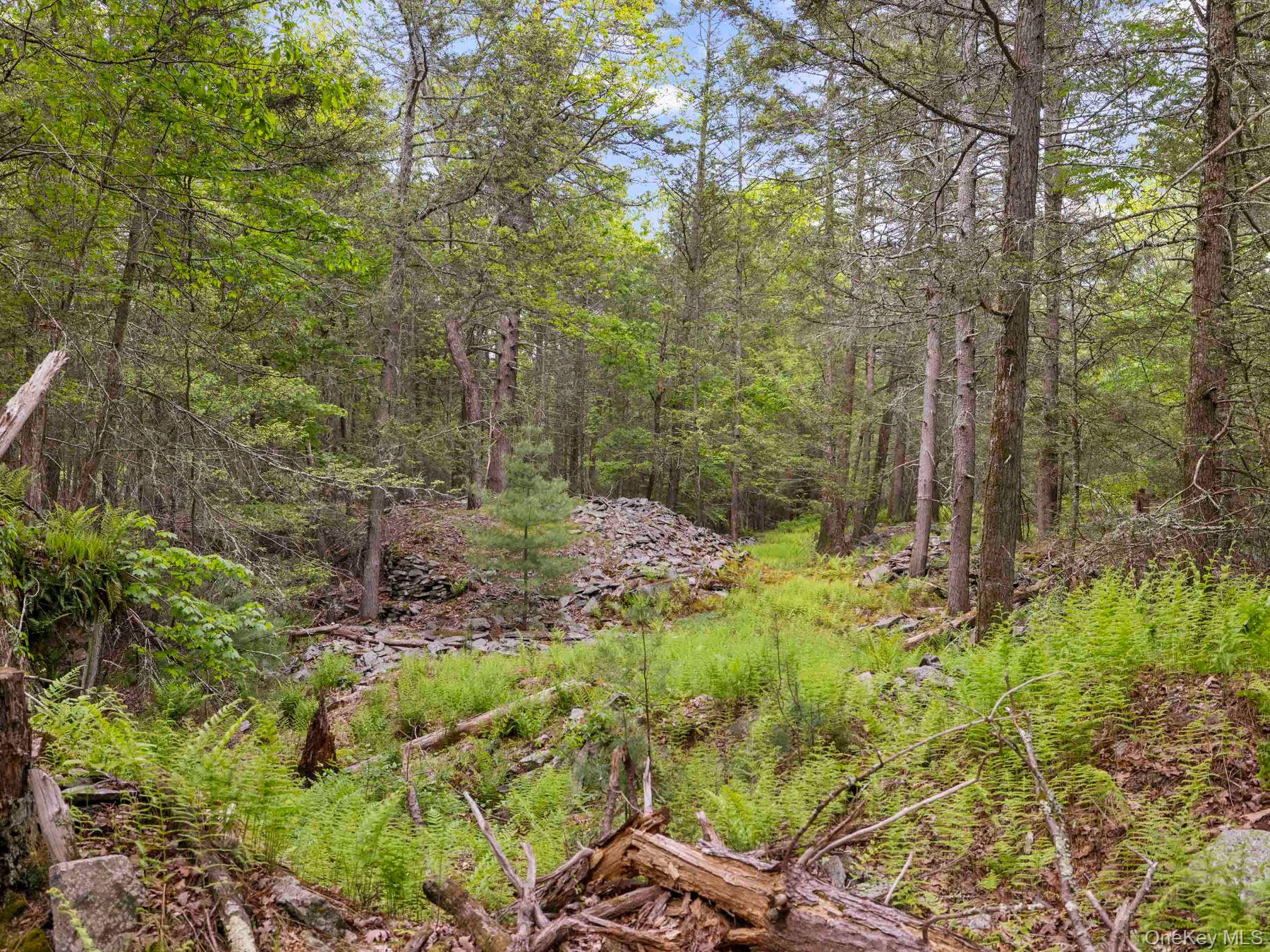 40 Mamoud Hills Road Kingston, NY 12401 - Photo 35 of 42 a view of a garden with large trees