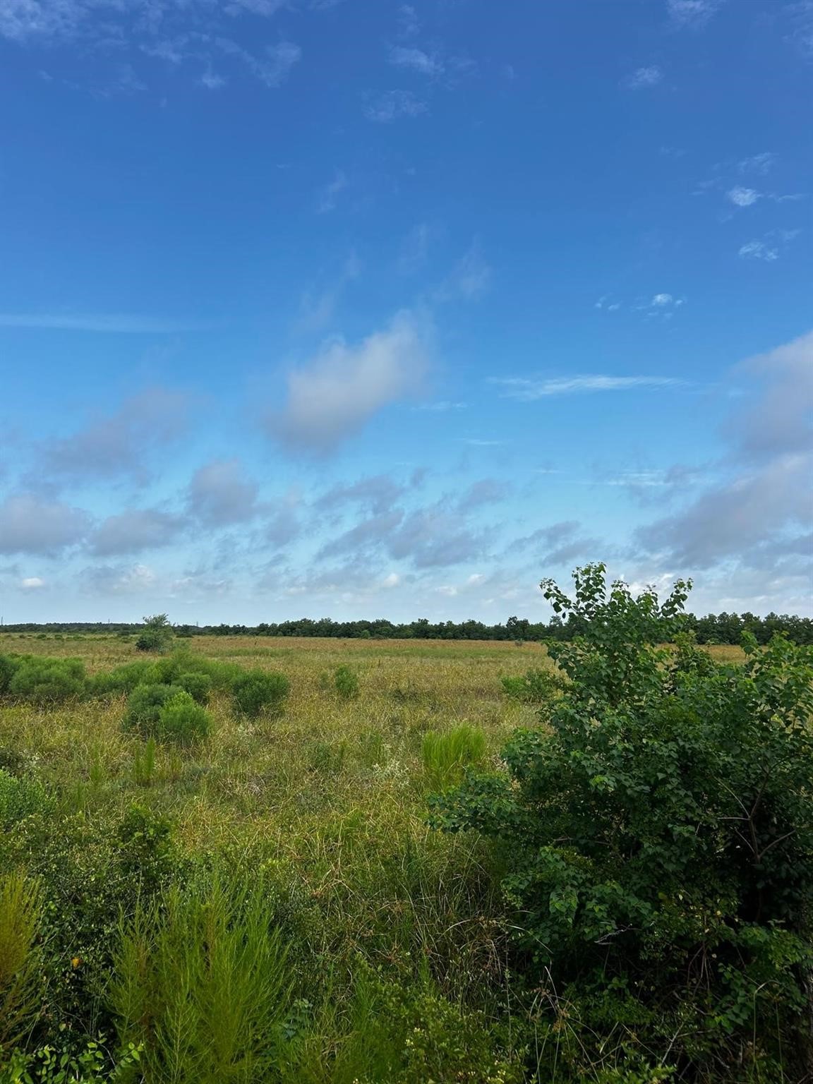 0 Katy Hockley Road Katy, TX 77493 - Photo 11 of 15