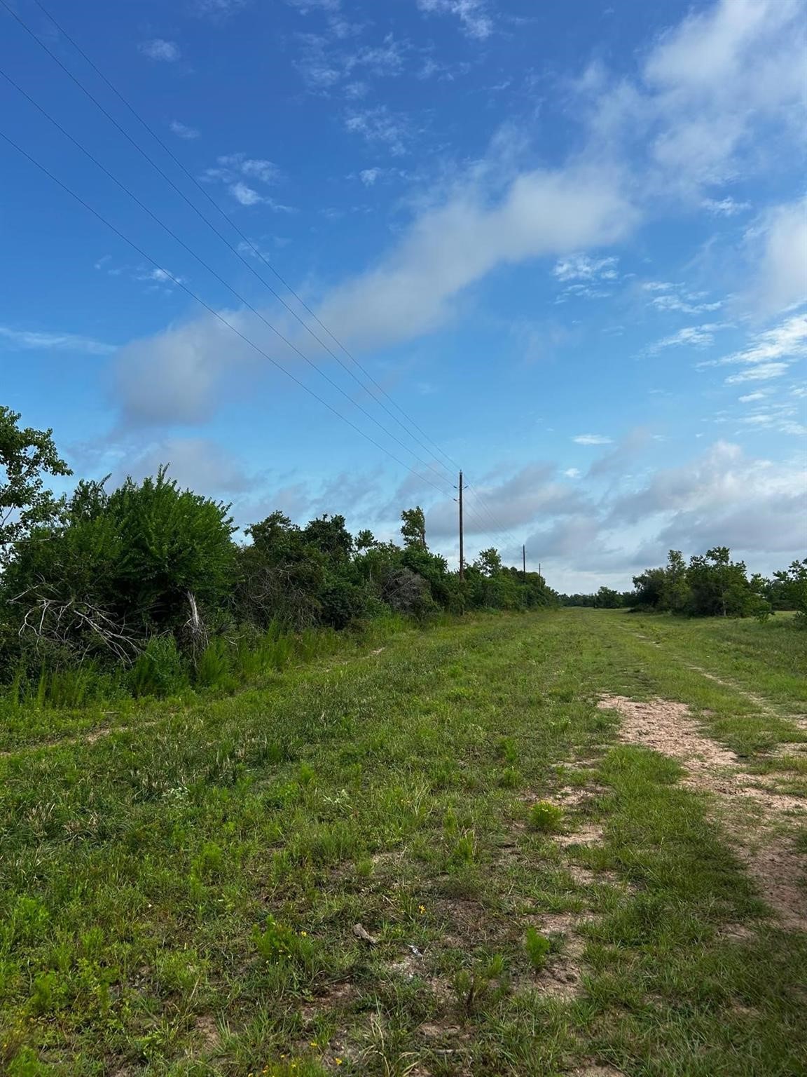 0 Katy Hockley Road Katy, TX 77493 - Photo 12 of 15
