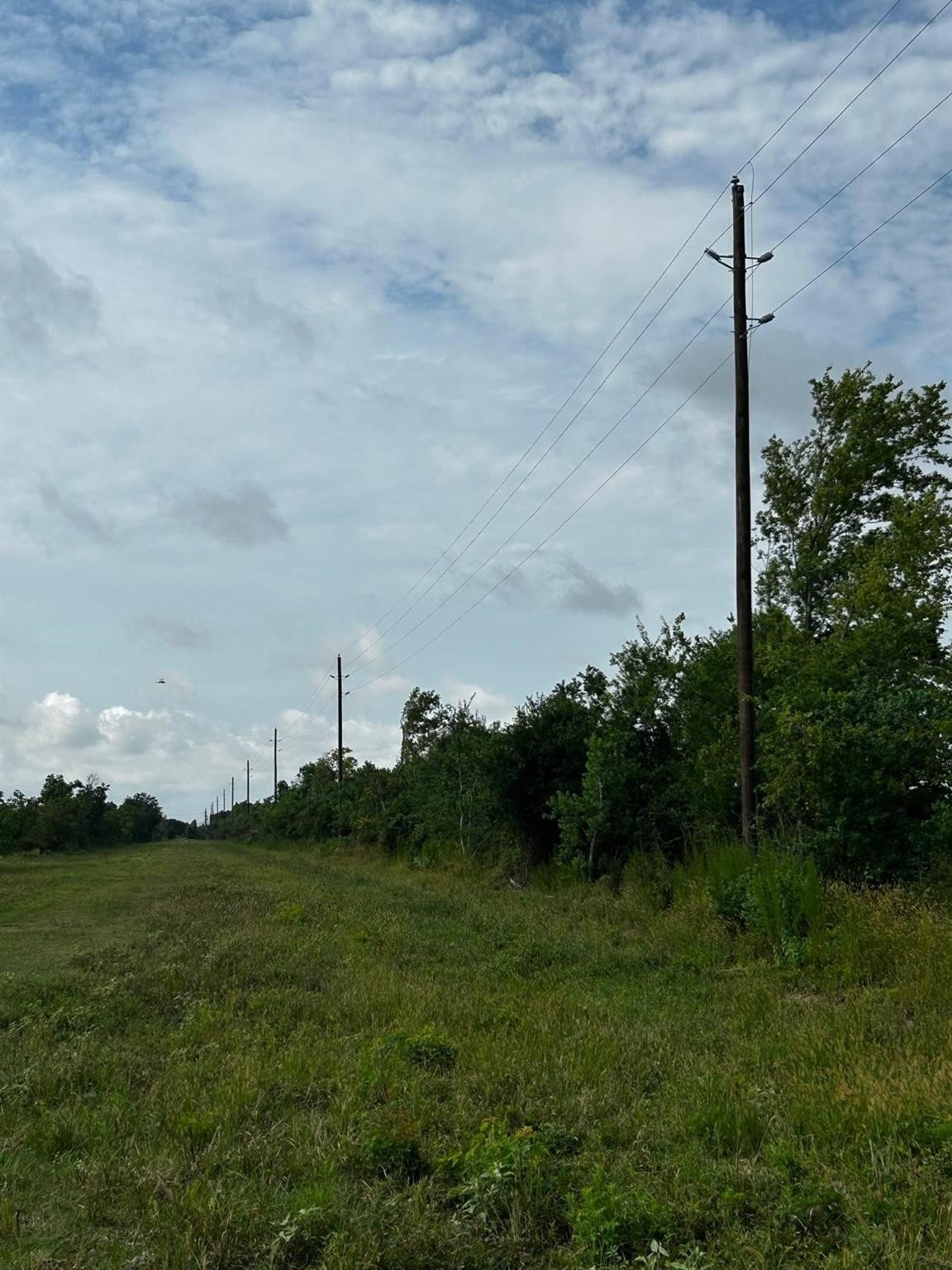 0 Katy Hockley Road Katy, TX 77493 - Photo 14 of 15 a view of a green field with wooden fence