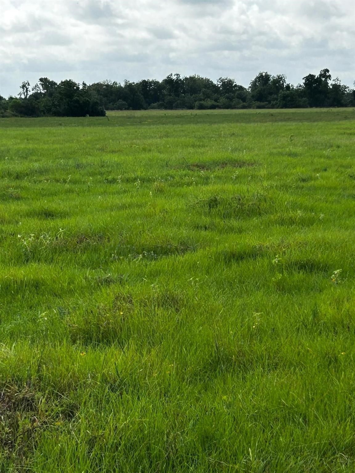 0 Katy Hockley Road Katy, TX 77493 - Photo 5 of 15