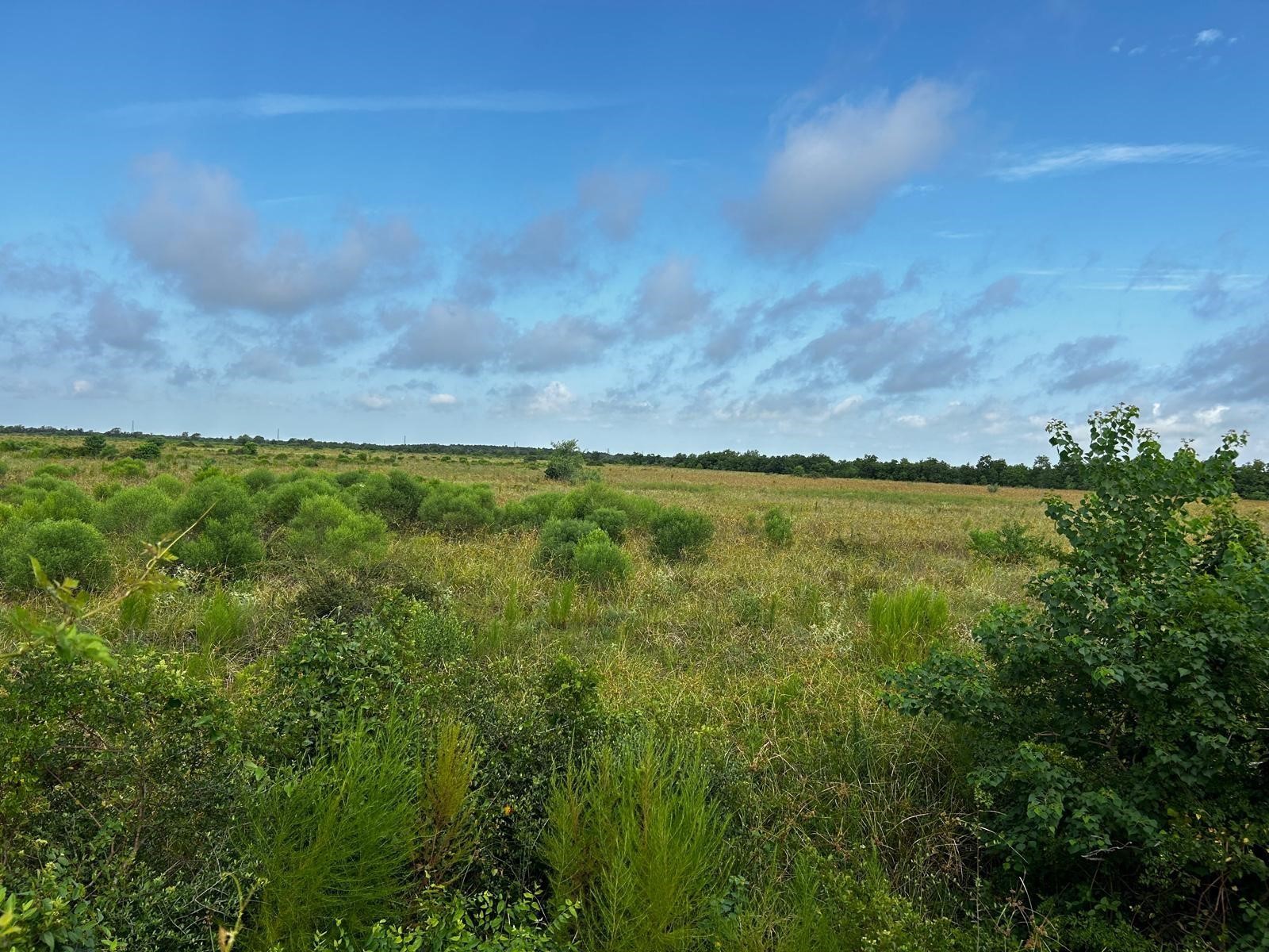 0 Katy Hockley Road Katy, TX 77493 - Photo 8 of 15