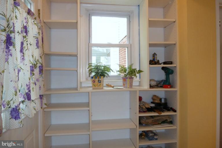 1603 Moffet Road Silver Spring, MD 20903 - Photo 7 of 30 a potted plant sitting next to a window