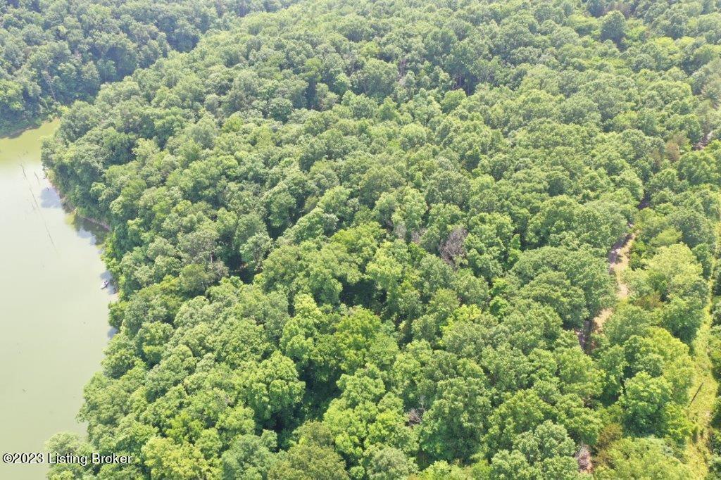 0 Dryden Road Bloomfield, KY 40008 - Photo 2 of 19 DJI_0430