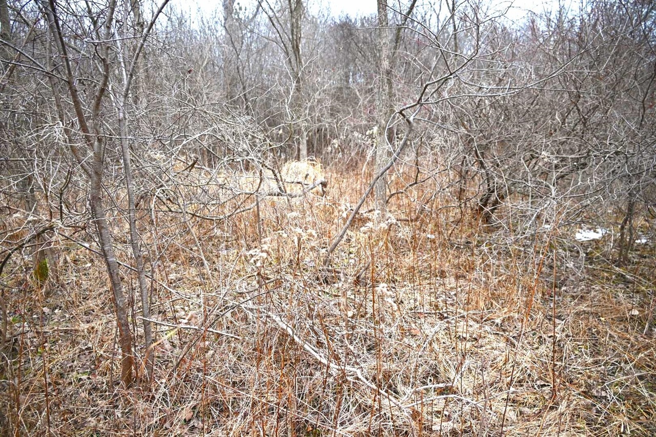 7025 Clinton Road Jackson, MI 49201 - Photo 15 of 26