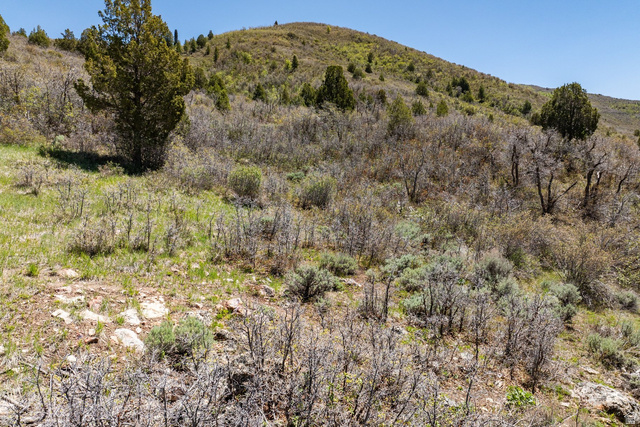 501 Splendor Valley Road, Unit 81/82 Kamas, UT 84036 - Photo 12 of 26