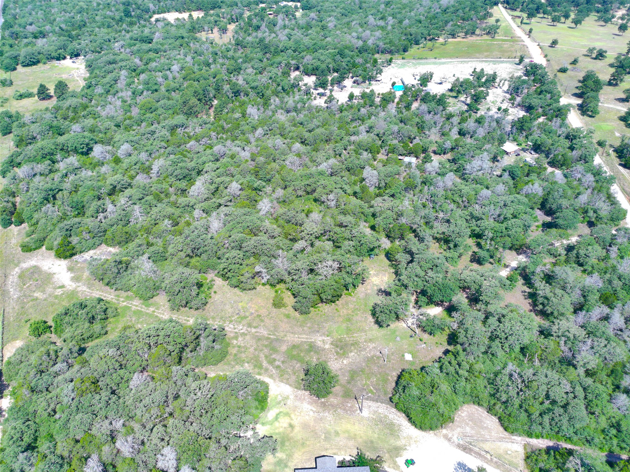 277 Meuth Cemetery Road Red Rock, TX 78662 - Photo 19 of 19 Vast, verdant acreage, densely forested, offering secluded natural beauty and endless possibilities.